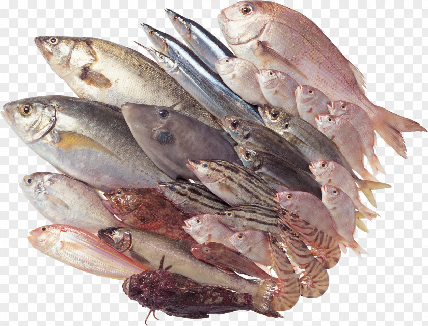 Fish Seafood As Food Stuffing PNG
