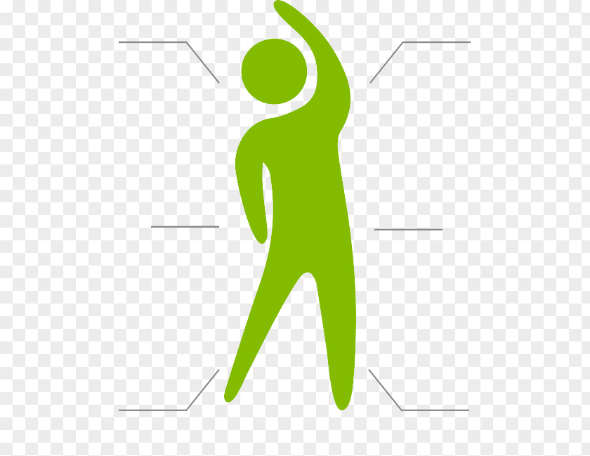 Multi Style Product Clip Art Logo Human Behavior Leaf PNG