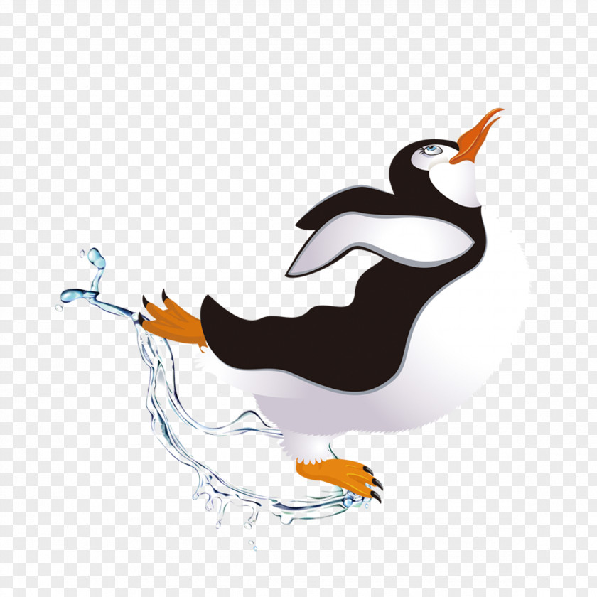 Penguin Dance PNG