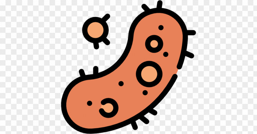 Bacterium Clip Art Bacteria PNG