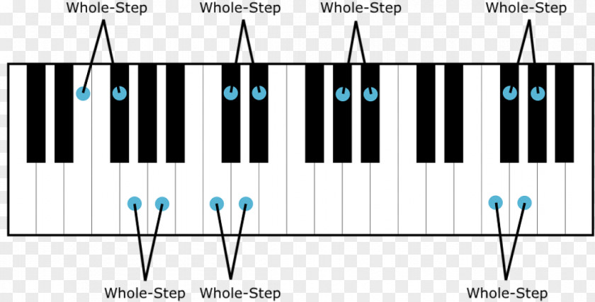 Piano Key Musical Keyboard Semitone Whole Tone Scale PNG