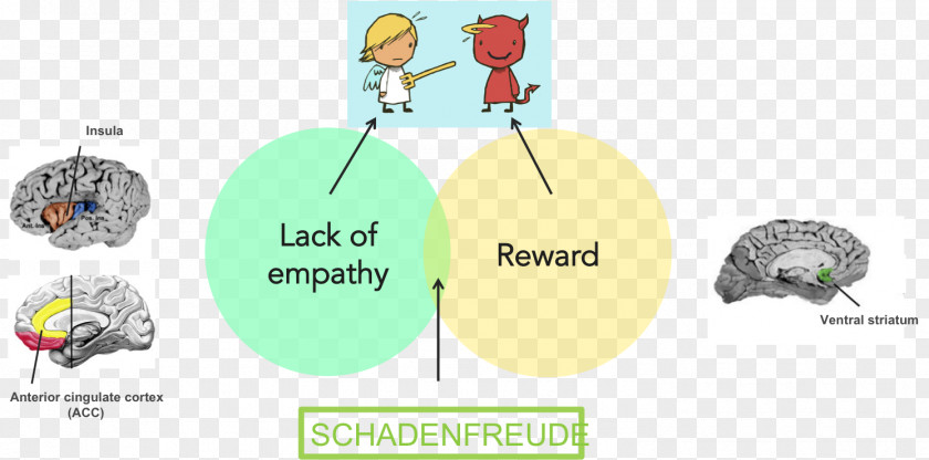 Schadenfreude Emotion Envy Human Behavior Empathy PNG