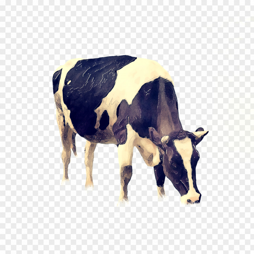 Wildlife Pasture Cow Background PNG