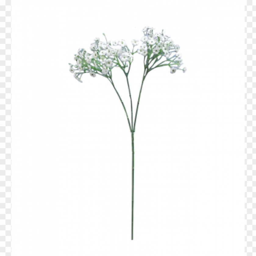 Baby Breath Flower Bouquet Baby's-breath Plant Stem Cut Flowers PNG