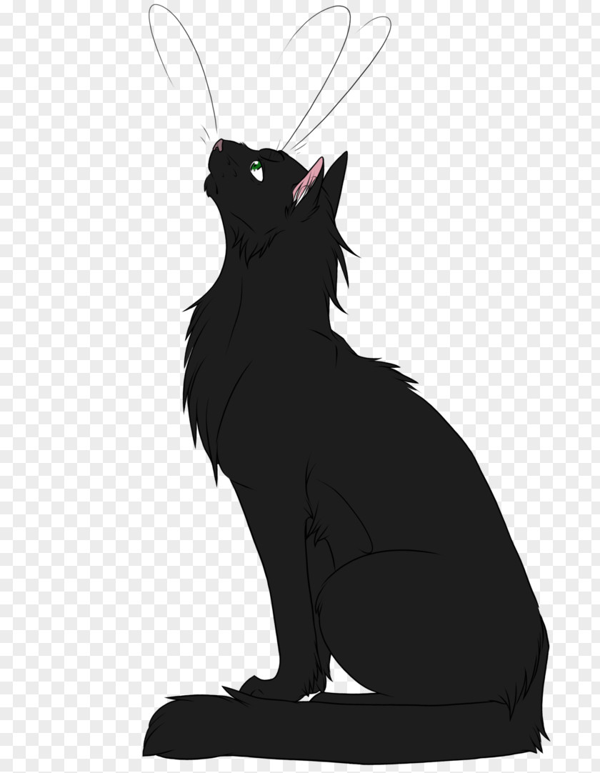 Cat Kitten Whiskers Warriors Hollyleaf PNG