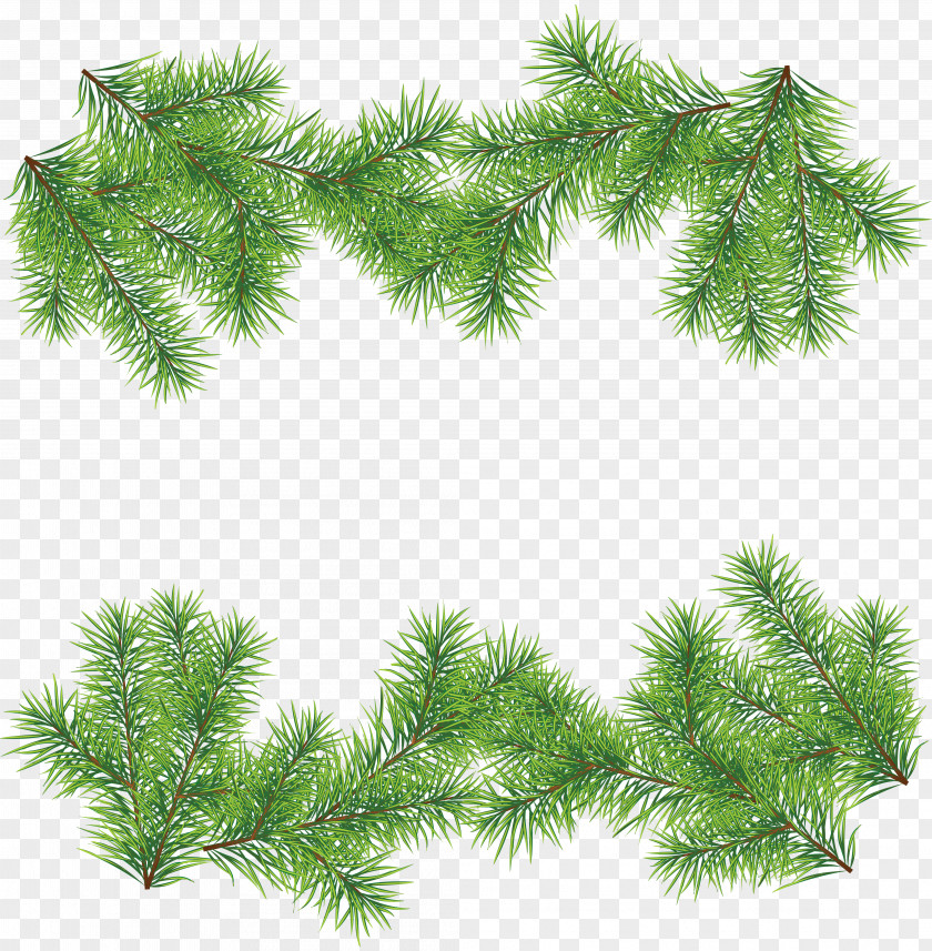 Fir-tree Christmas Tree Clip Art PNG