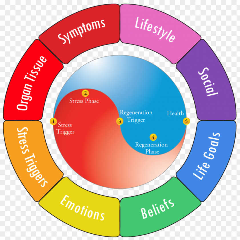 Funny Stress Management Sheet Medical Prescription Lifestyle Prescriptions University Health Professional PNG