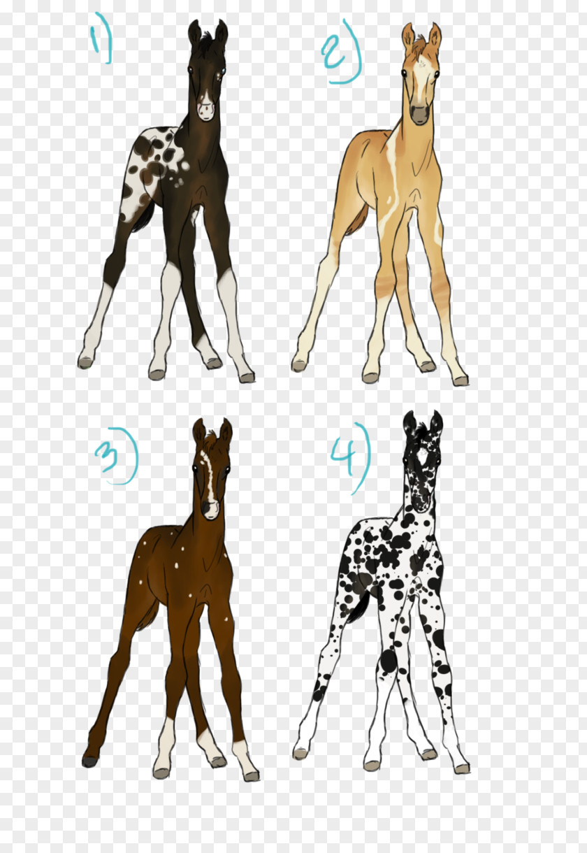 Giraffe Dog Breed Cat Horse PNG