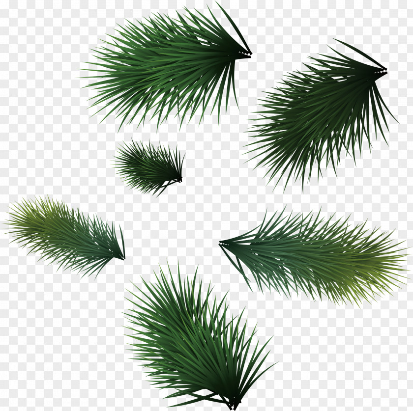 Green Pine Needles Christmas Leaf Icon PNG