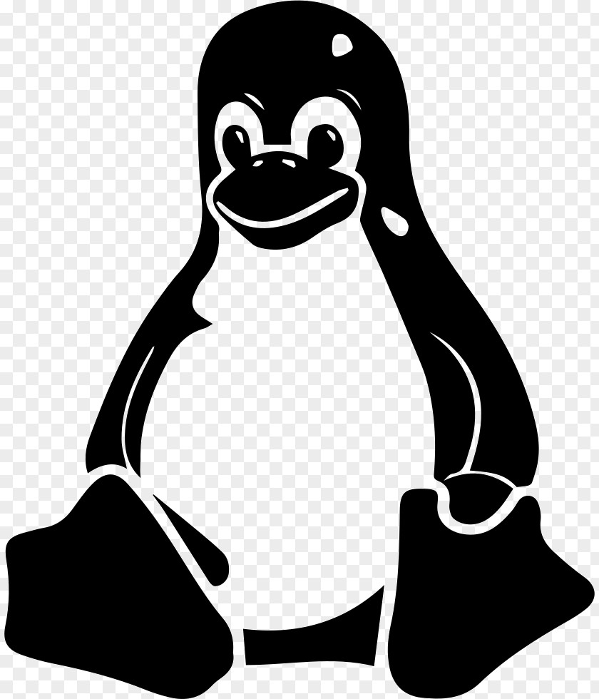 Linux Operating Systems APT PNG