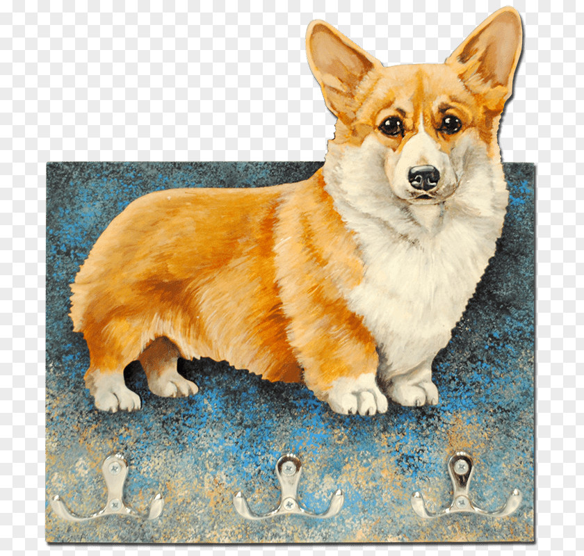 Pembroke Welsh Corgi Cardigan Icelandic Sheepdog Dorgi Dog Breed PNG