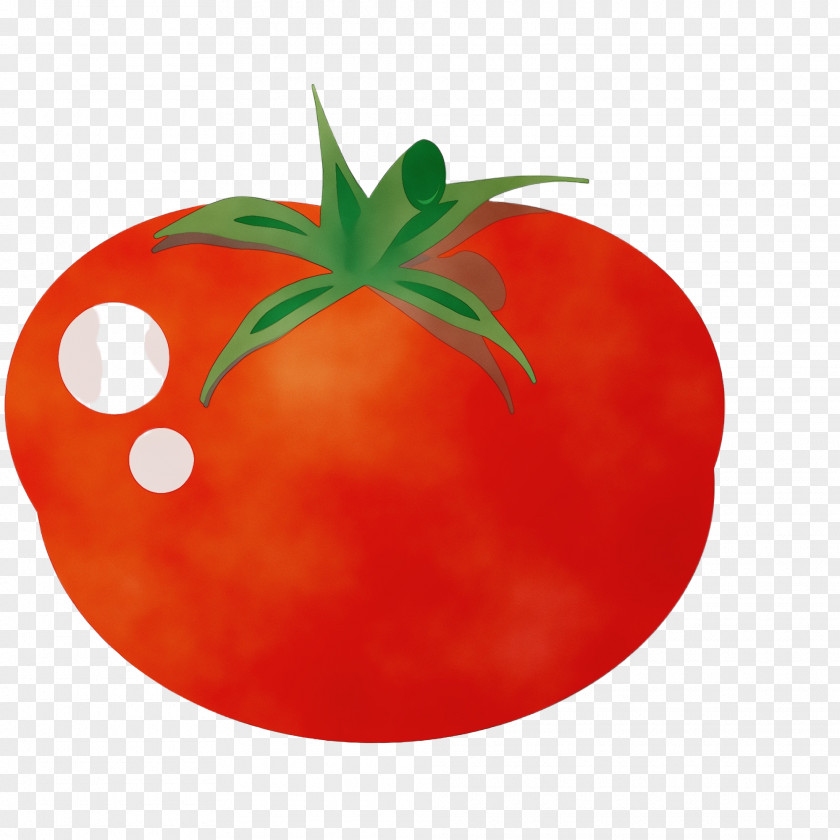 Plum Tomato Orange PNG
