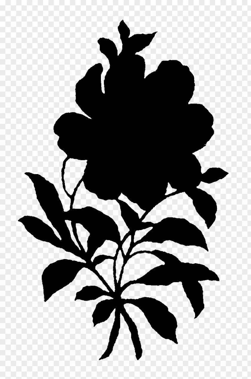 Flowering Plant Stem Leaf Silhouette PNG