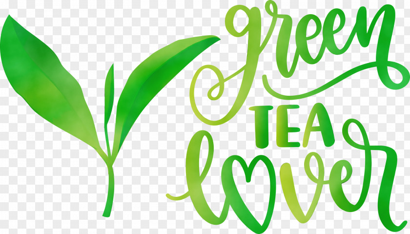 Leaf Meter Logo Plant Stem Grasses PNG