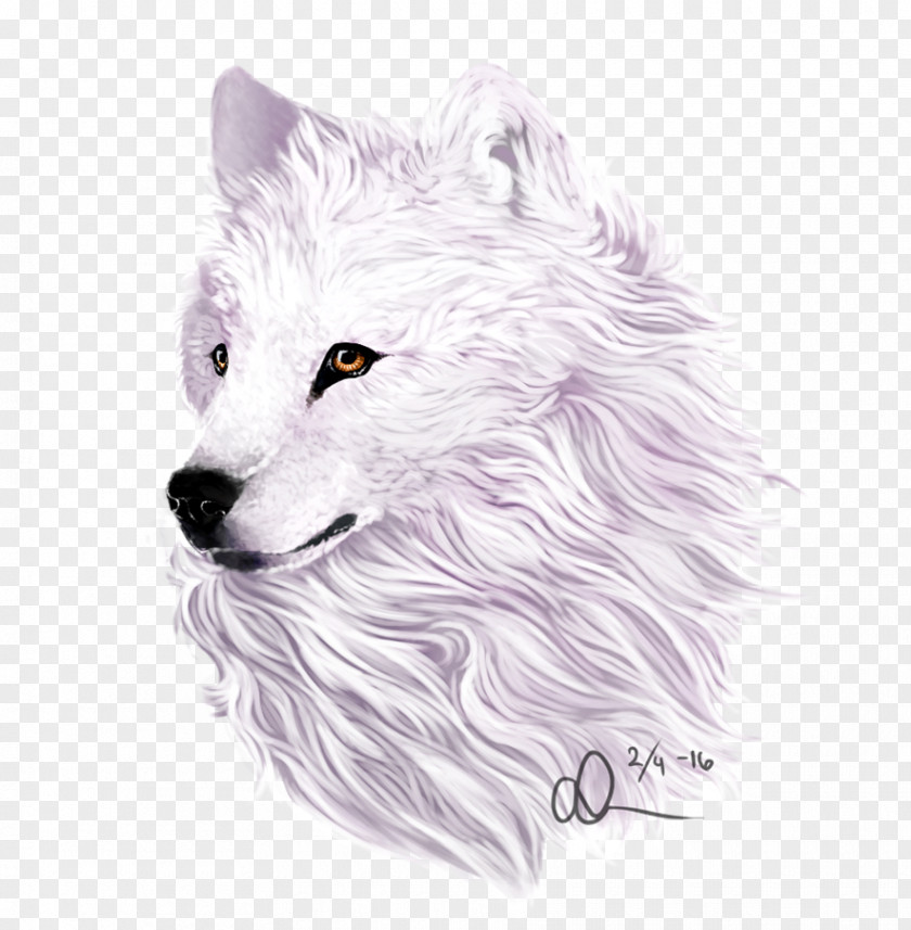 Alaska Dog Drawing DeviantArt /m/02csf PNG