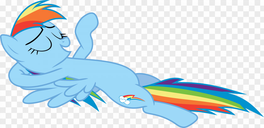 Dash Rainbow Rarity Pinkie Pie Twilight Sparkle Pony PNG