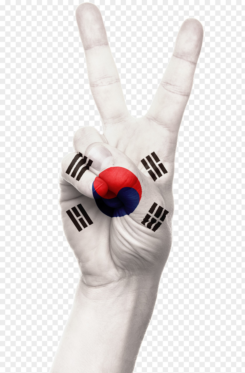 Flag Of South Korea North PNG