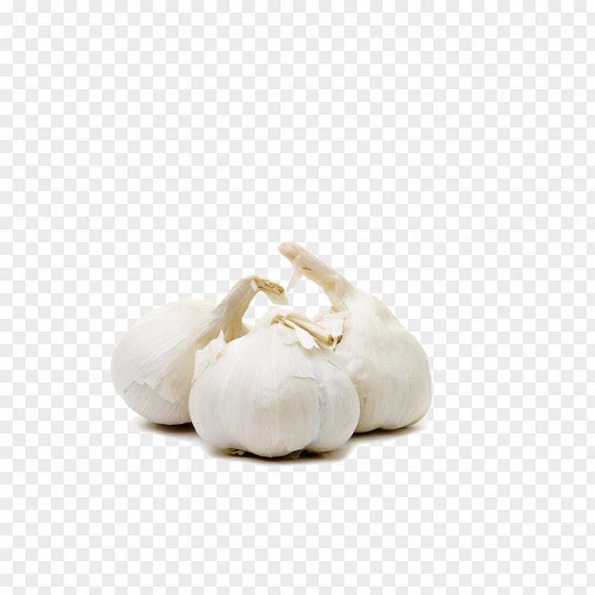 Garlic Press Vegetable Food Onion PNG