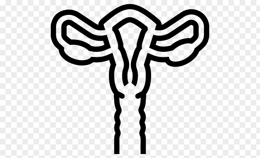 Male Reproductive System Dr. Salvadore Nocito Uterus Medicine Ovary PNG
