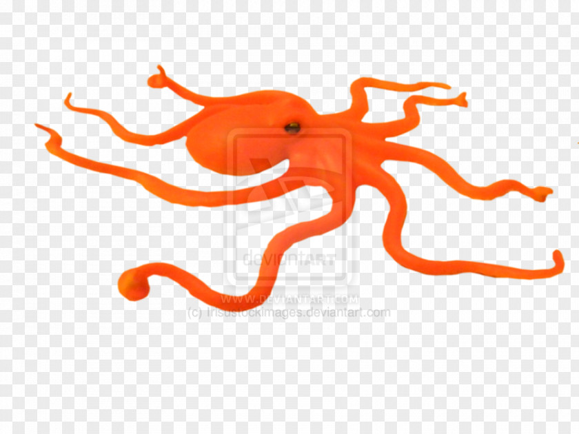 Octapus Octopus Marine Invertebrates Cephalopod PNG