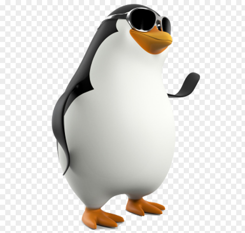 Penguin Wearing Sunglasses Display Resolution Clip Art PNG