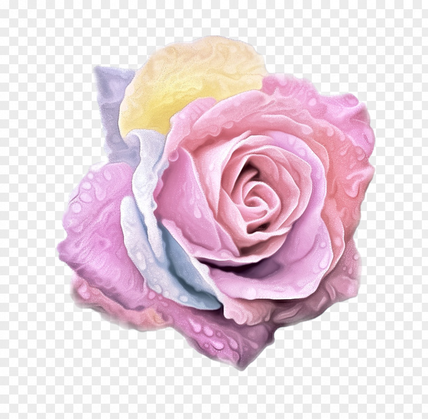 Aesthetic Rose Background Cut Flowers Clip Art Image PNG