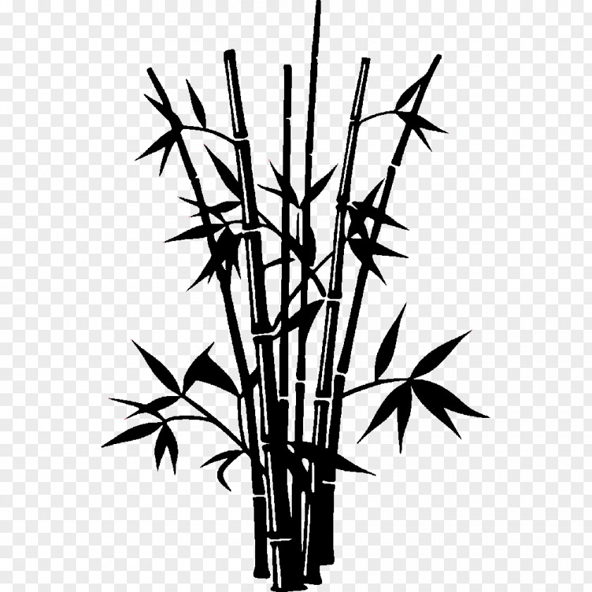 Bamboo Drawing Silhouette PNG