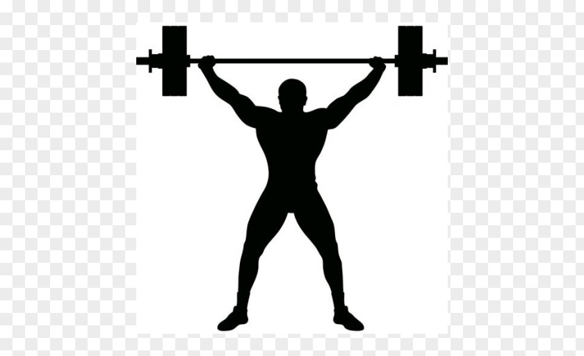 Barbell Olympic Weightlifting Royalty-free Weight Training PNG