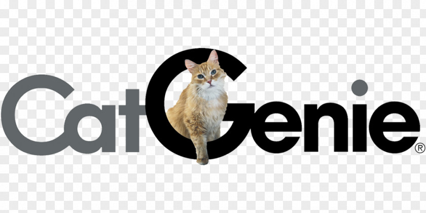 Cat Logo Brand Computer Font PNG