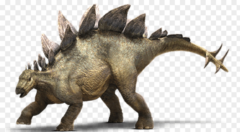 Dinosaur Stegosaurus Allosaurus Ankylosaurus Lego Jurassic World PNG