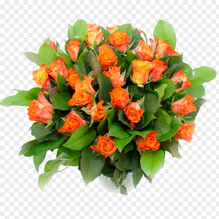 Flower Floral Design Bouquet Cut Flowers PNG