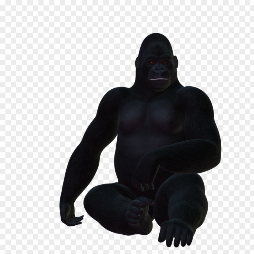 Gorilla Western Primate PhotoScape GIMP PNG