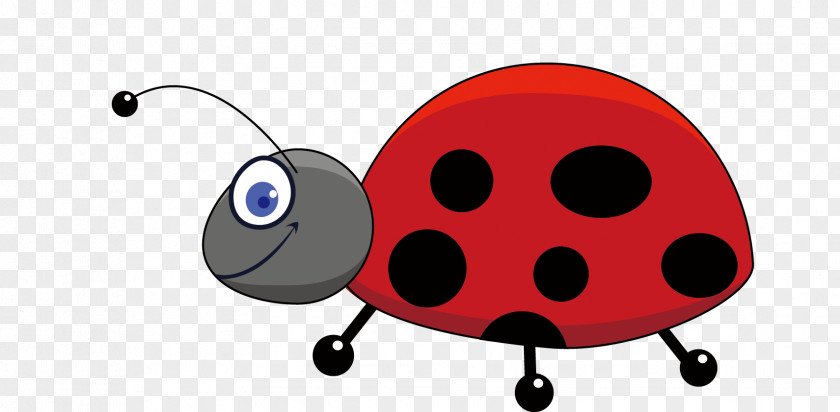 Ladybug Insect Drawing Cartoon Clip Art PNG