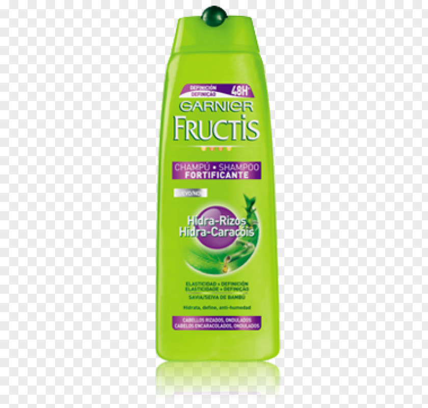 Shampoo Garnier Fructis Grow Strong Hair Dandruff PNG
