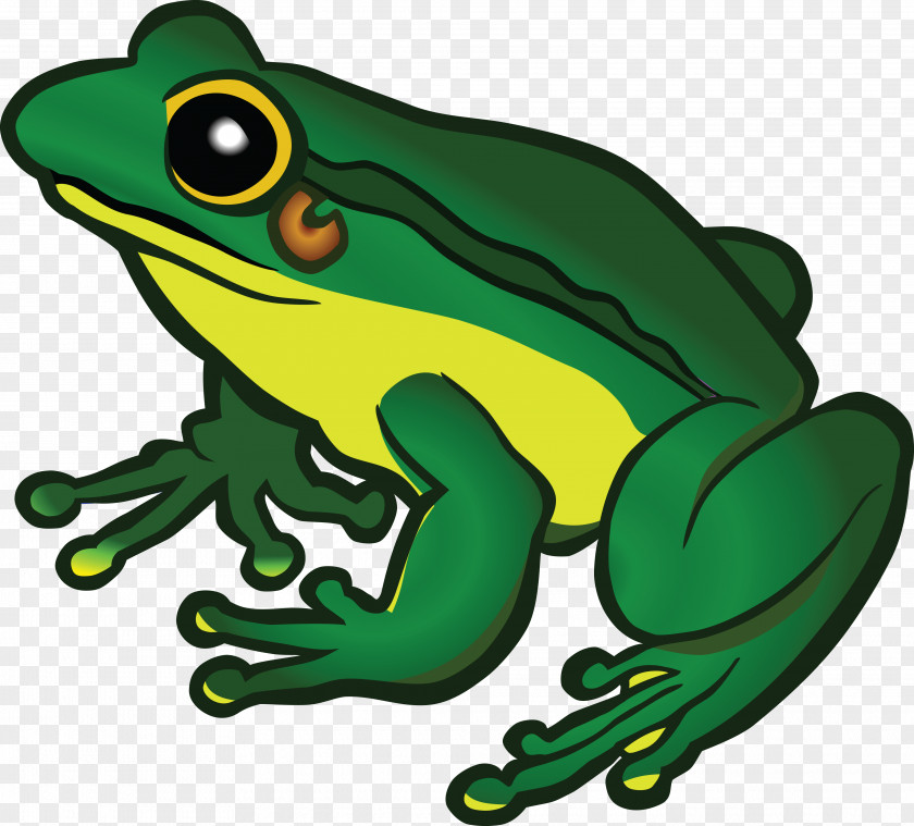 Frog Clip Art PNG