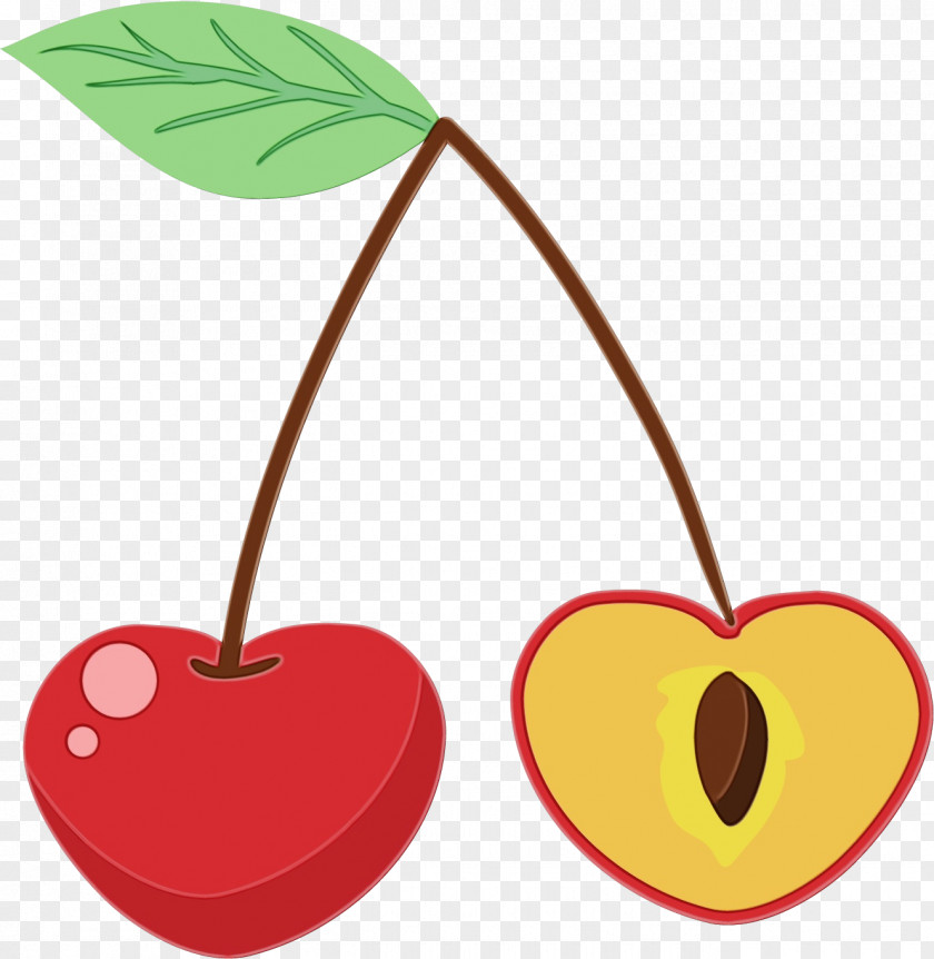 Heart Cherry Plant Leaf Tree PNG