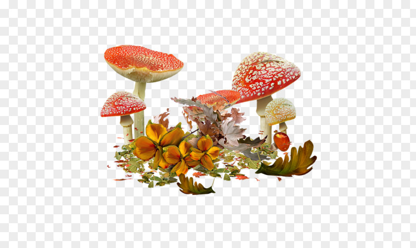 Mushroom Common Shiitake Edible Drawing PNG