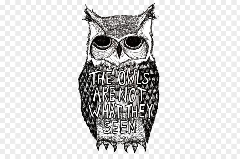 Owl A Wise Old YouTube Bird PNG
