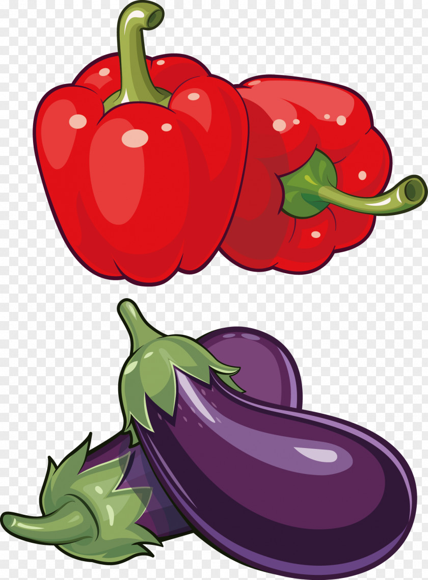Pepper Eggplant Vegetable Food PNG