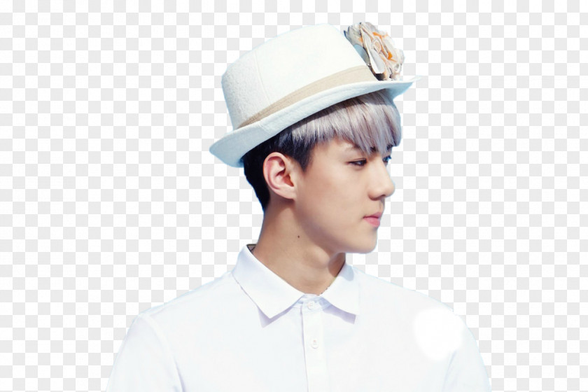 Sehun Exo From Exoplanet #1 – The Lost Planet Ivy Club Corporation EXO-K PNG