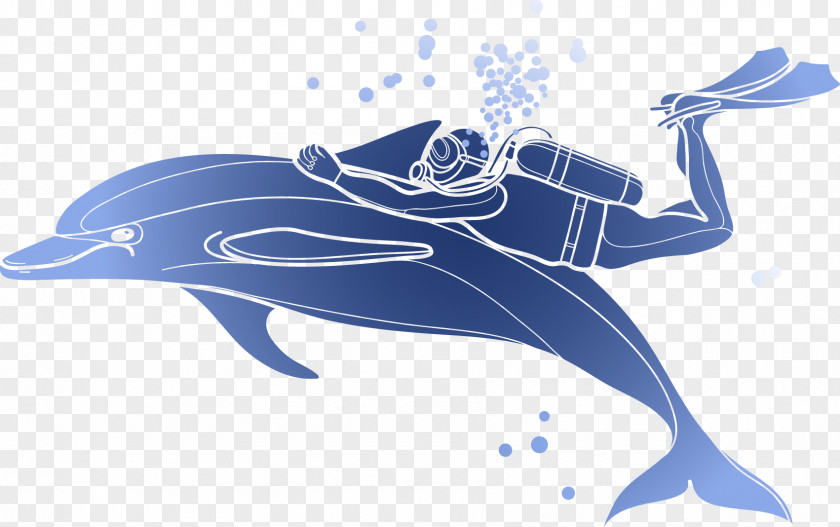 Vector Dolphin Diver Download Illustration PNG