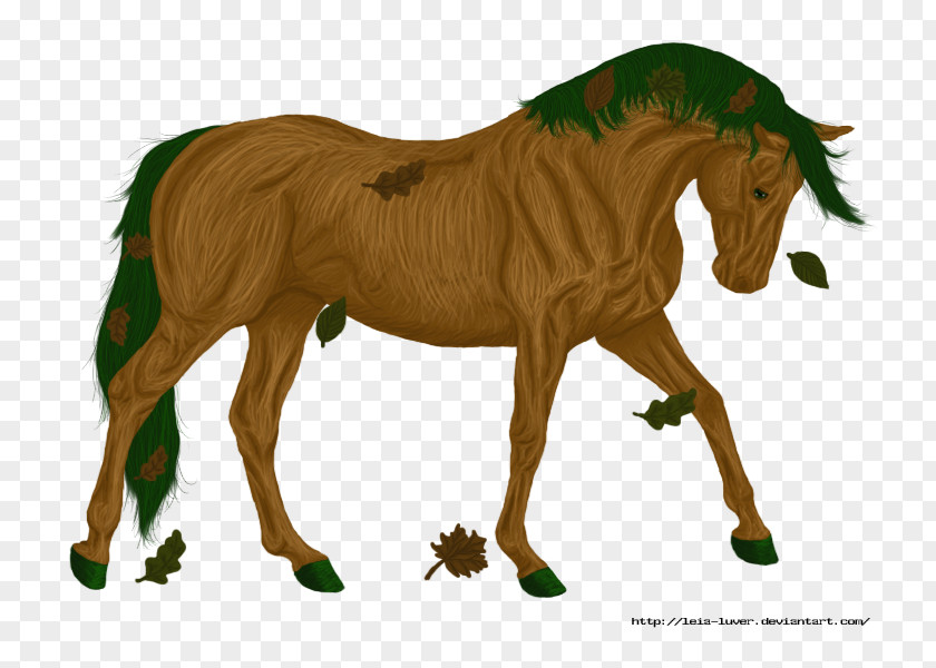 Mustang Mane Foal Stallion Mare PNG