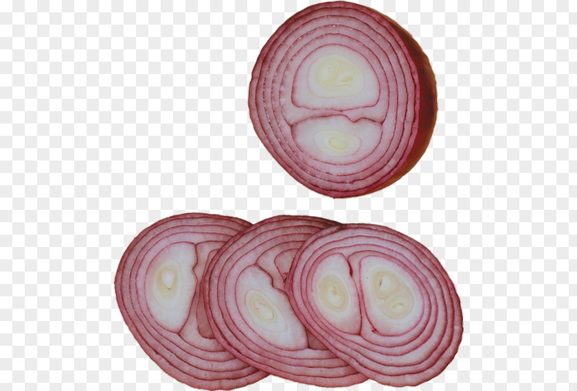 Onions Red Onion Vegetable Garlic PNG