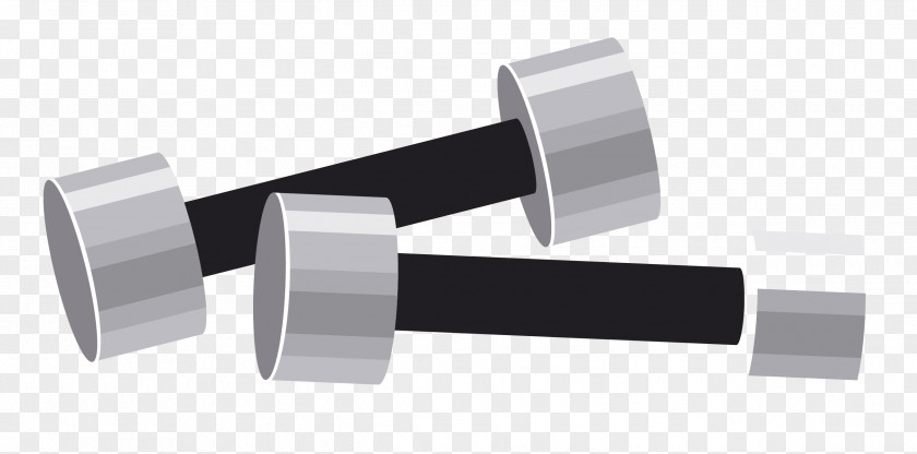 Vector Barbell Brand Angle Cylinder PNG