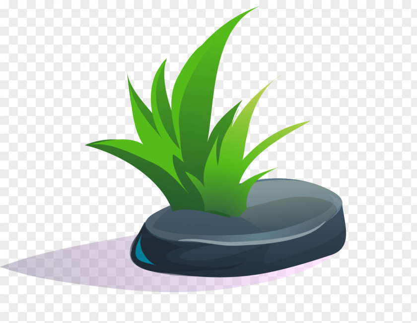 Vector Green Grass PNG