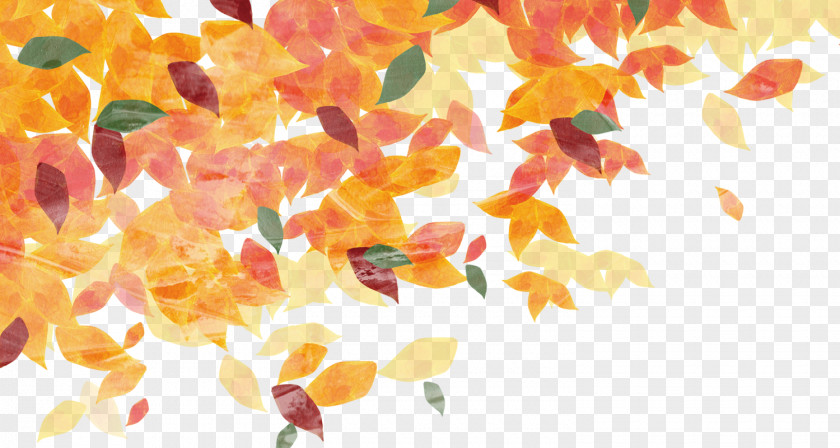 Cartoon Hand Painted Autumn Leaves Material PNG hand painted autumn leaves material clipart PNG