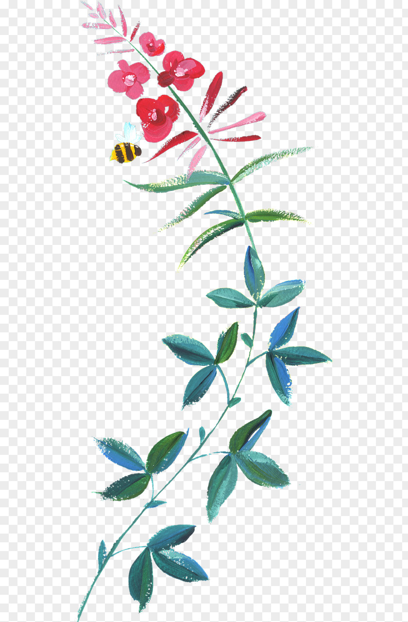 Rose PNG