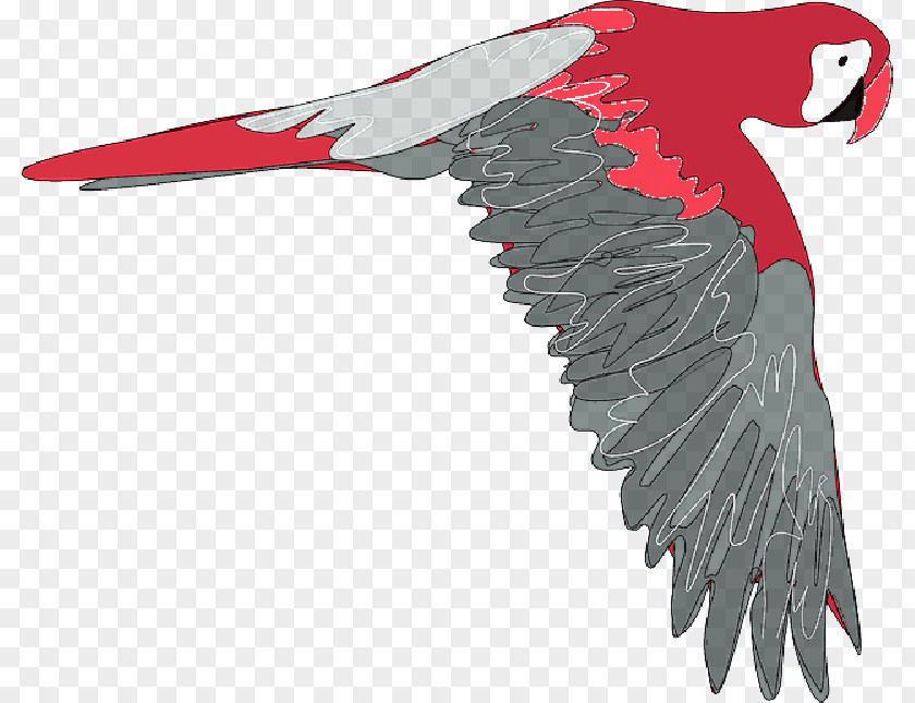 Cartoon Bird Flying Parrot Clip Art Macaw PNG