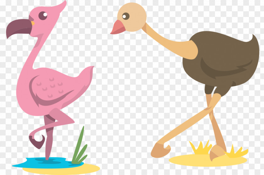 Cartoon Ostrich Vectors Common Clip Art PNG