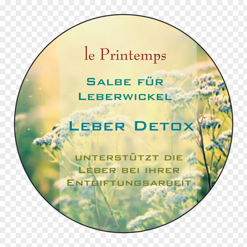 Detox Text Essential Oil Printemps Crucible PNG